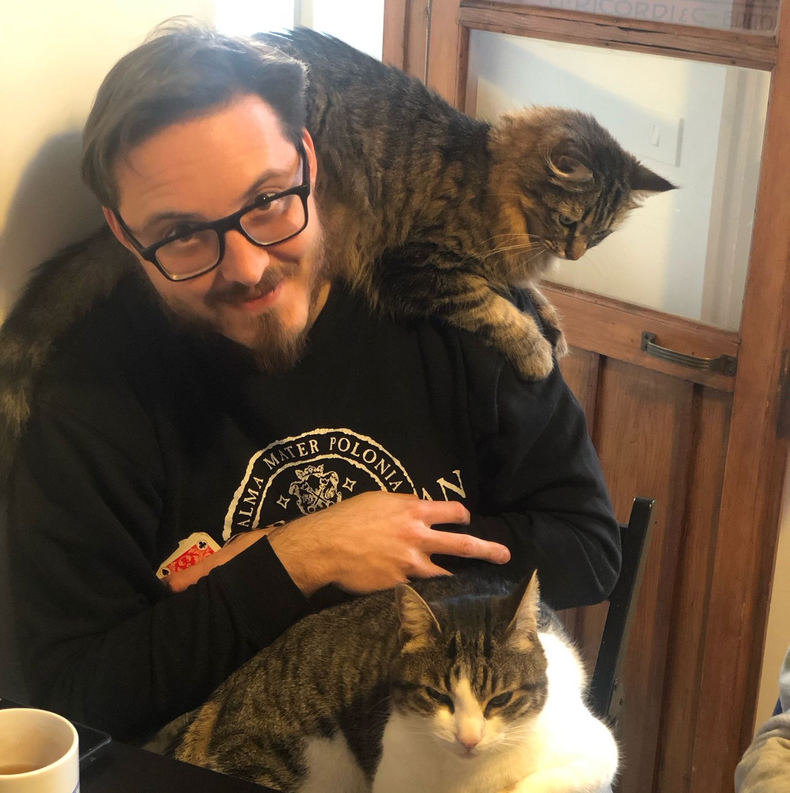 ale_gattoni_squared.jpeg